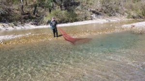 Прогулялся по речке с кастинговой сетью (рыбалка кастинговой сетью)