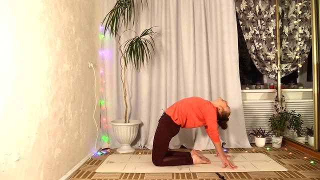 КИНЕТИКА ДВИЖЕНИЙ