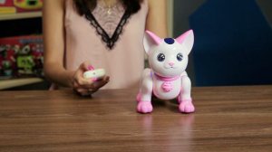 Робот Автоград радиоуправляемый «Умный котёнок» ( Арт ДетМир - 1000852220 )