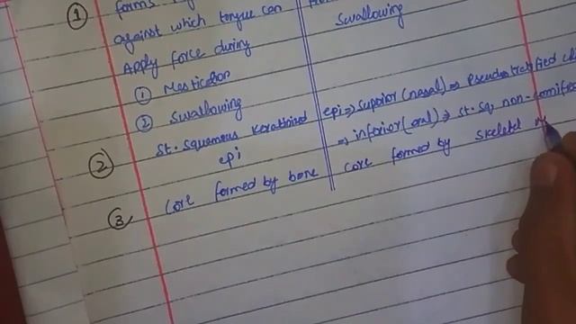 Histology of GIT | hard palate Vs soft palate | cells of taste buds | sustentacular cells смотреть онлайн
