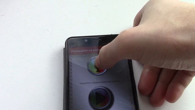 Говорю с кошкой через кошачий переводчик смотреть онлайн