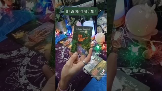 ?Devine Messages From The Sacred Forest? Oracle? смотреть онлайн