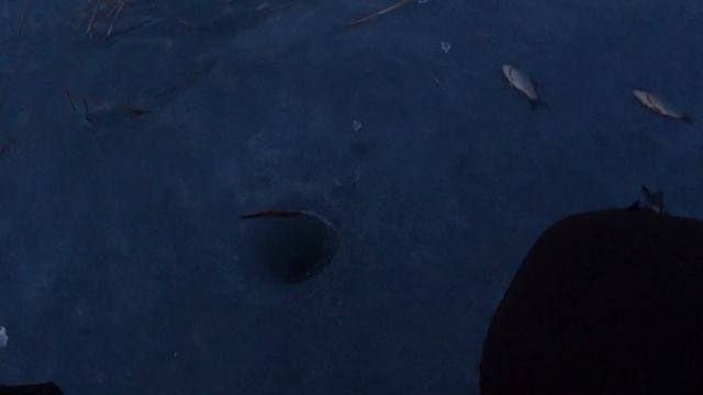 Рыбалка на озере Лебяжье 11,04,2022,Кызылжарский район,Северный Казахстан.Три часа рыбалки.Карасик. смотреть онлайн