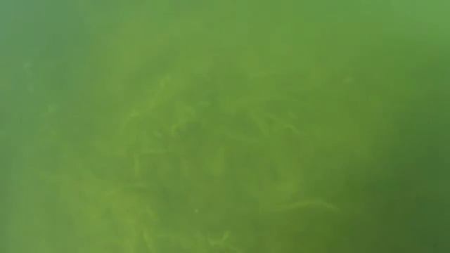 Сарапул, пруд Матвеиха, под водой.