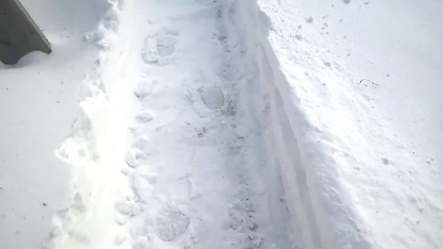 Чистим снег больше метра мотоблоком снегоуборщиком. смотреть онлайн