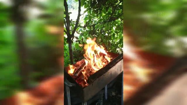 НЕ могу работать, уеду) | Lelya Lee Life VLOG смотреть онлайн