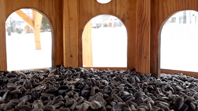 Внутри кормушки для птиц смотреть онлайн