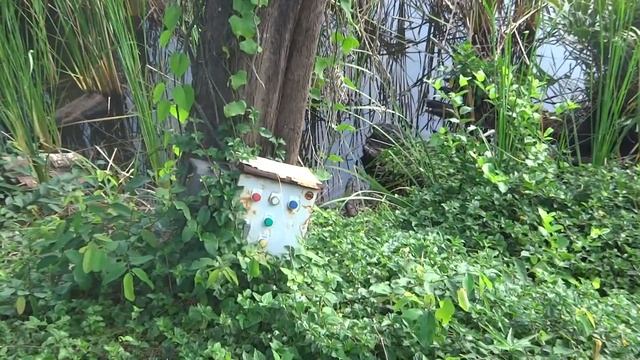 КАК ПРАВИЛЬНО ПОДКЛЮЧАТЬ ВОДЯНОЙ НАСОС смотреть онлайн