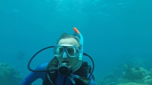 АВСТРАЛИЯ: Большой барьерный риф - красоты подводные / relax смотреть онлайн