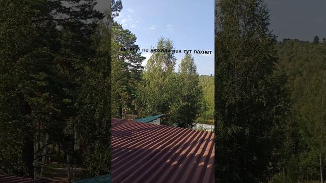 какая сегодня погода