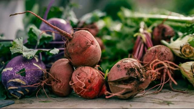 Как правильно хранить свеклу и почему важно вовремя убрать смотреть онлайн