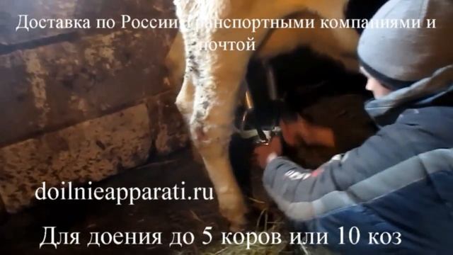 Доильные аппараты для коров и коз МДА смотреть онлайн