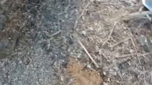 Универсальное прицепное для мотоблока!