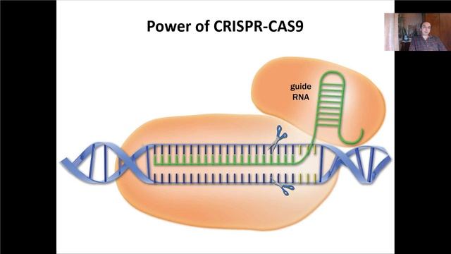 Лекция 13. CRISPR-CAS (2021)