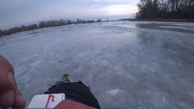 Жерлицы + Ловля синца! Рыбалка на Оке в конце Февраля! Последний лёд 2020! смотреть онлайн
