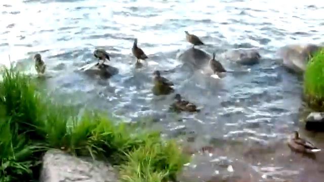 Кириллов! Видео обзор под музыку! :3 Орнелла Фокс смотреть онлайн