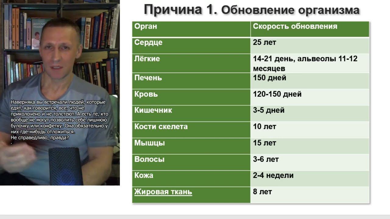 Лишний вес 4. Самообновление