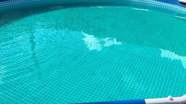 Зеленку в бассейне вместо химии. Не лучшее решение смотреть онлайн