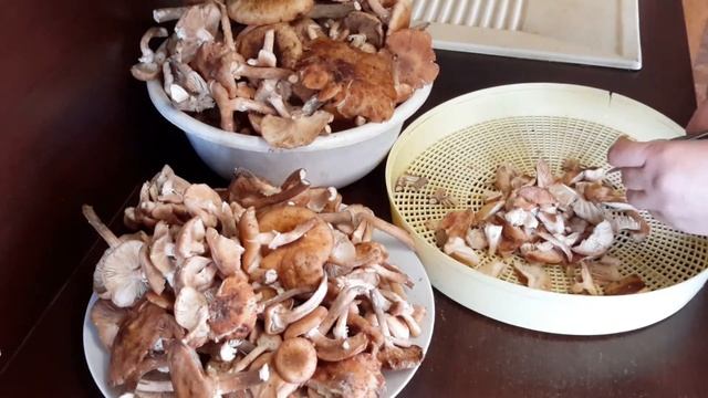 Вкусные супы и рецепты