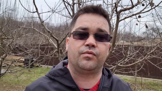 Ce pomi sa plantez in gradina! смотреть онлайн