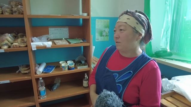 Казахстанское Запорожье. Уютный поселок в степи смотреть онлайн