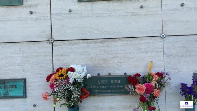 ANDY GIBB el Hermano menor de Los Bee Gees esta Enterrado AQUÍ смотреть онлайн