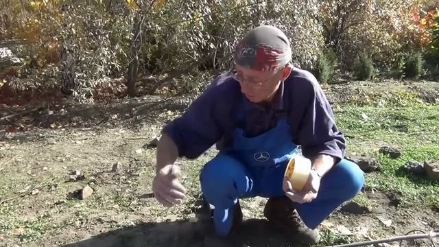 Укрытие винограда в Сибири смотреть онлайн