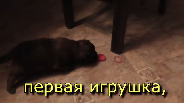 "Три месяца за 7 с половиной минут" смотреть онлайн