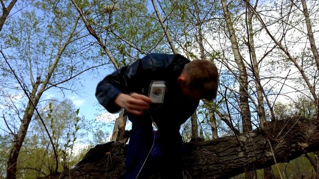 Пульт управления телевизорами и профессиональные расчески с Алиэкспресс смотреть онлайн