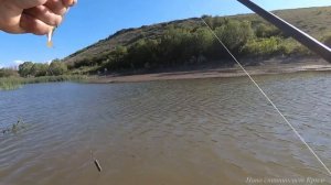 Дроп шот сделал рыбалку + полезная обновка.