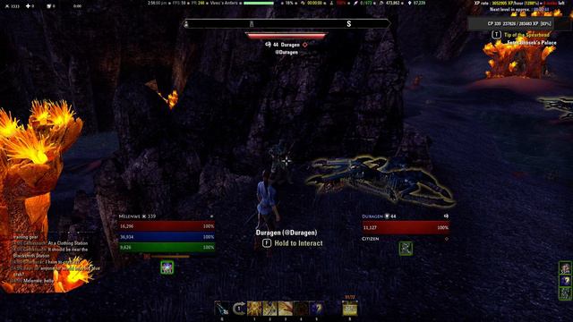 Elder Scrolls Online 01 13 2017 смотреть онлайн