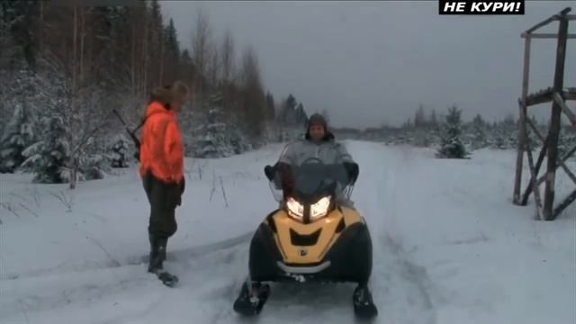 Охота на кабана с подхода . 2018