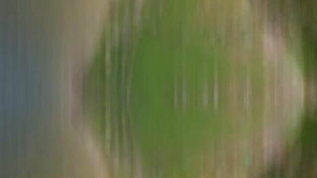 TimeWarp прогулка по дачам, район села Лупарево. Лето 2021. Николаевская область. смотреть онлайн