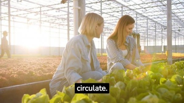 HYDROPONIC SYSTEM - Awesome Hydroponic System For Growing Strawberries At Home! #hydroponicsystem