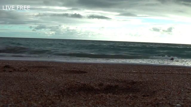 LIVE FREE : ПОРТУГАЛИЯ. Добрался до Атлантического океана в городе Албуфейра смотреть онлайн