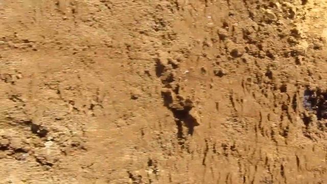 ,,Болотная Руда,, ? Limonite. Лимонит. смотреть онлайн