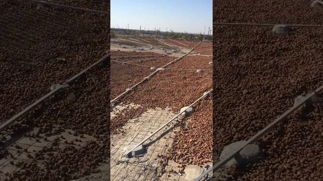 Разуклонка кровли, подготовка к заливке стяжки. Установка маяков. Подсыпка керамзита смотреть онлайн
