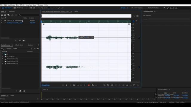 Remove Audiojungle Watermark in less than 2 Min!!! | Flitzip смотреть онлайн