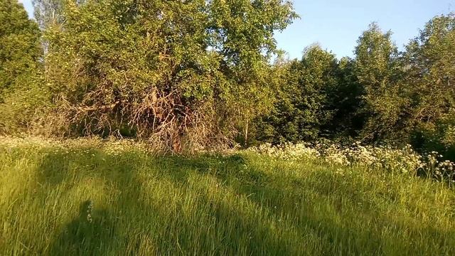YouCut_20230610_205904475.mp4 смотреть онлайн