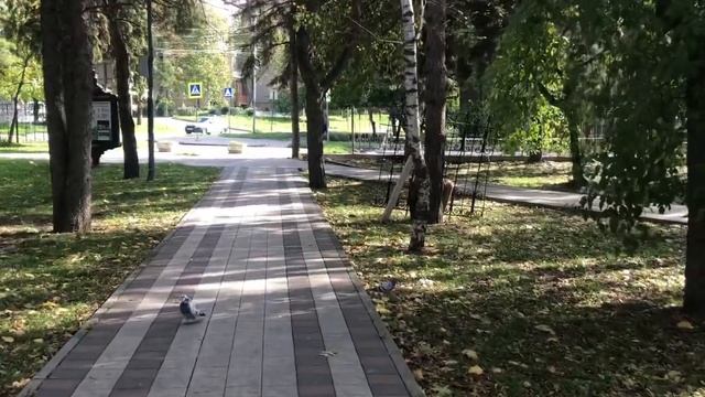 #железноводск 22.10.2022 прогулка в парке Говорухина и встреча с подписчиком #горы #кавказ #отдых смотреть онлайн