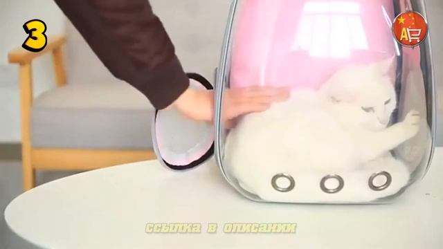 Удобные переноски для домашних животных с aliexpress. [переноска] смотреть онлайн