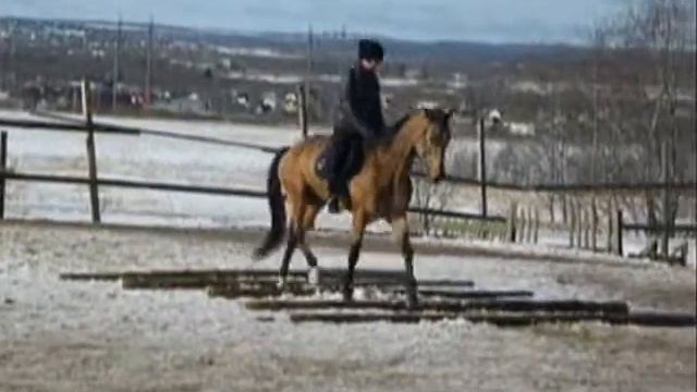 А кто меня научит.wmv смотреть онлайн