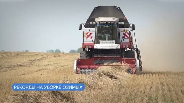 470 тысяч тонн озимых культур собрали с полей Алтайского края смотреть онлайн