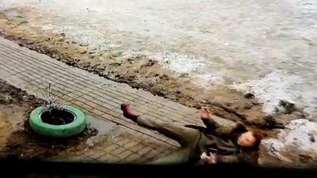 Подсечка или отказали тормоза! Лабрадор Барни в зоогостинице "Мухтар" смотреть онлайн