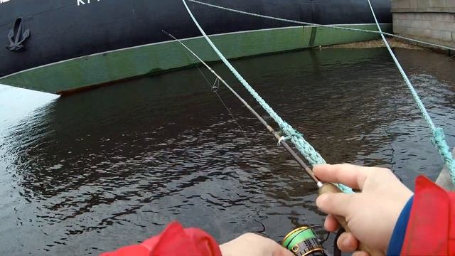 #7 Street fishing 23 04 19 смотреть онлайн