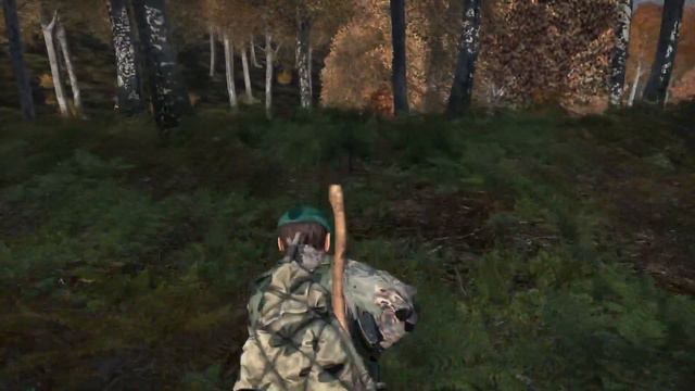 Dayz moments of the week #1 смотреть онлайн