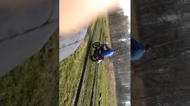 Весенние покатушки в лесу на двух альфах и кобре) смотреть онлайн