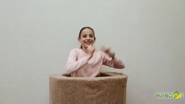 ШОК! Никогда НЕ делайте так с МИНЕРАЛЬНЫМИ утеплителями смотреть онлайн