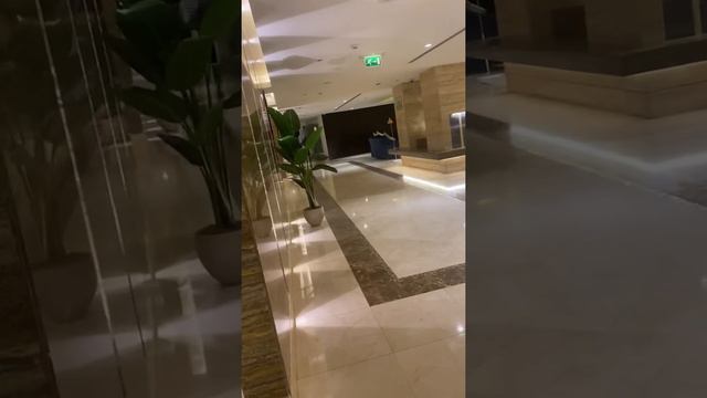 Palm jumeirah residence hotel Dubai смотреть онлайн