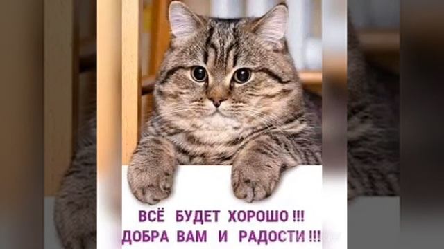 красивые песни смотреть онлайн